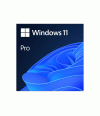 Microsoft Windows 11 Pro